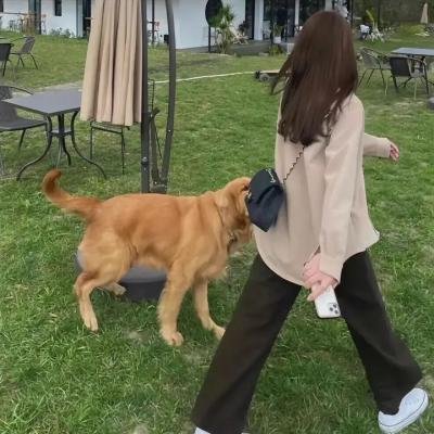 遥遥归乡路